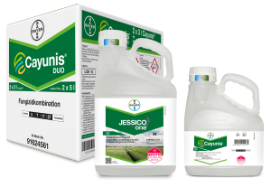 Cayunis® Duo (Cayunis® + Jessico® One)