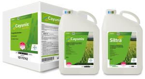 Cayunis® Xpro Set (Cayunis® + Siltra® Xpro)