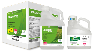 Prediview® One (Cayunis® + Jessico® One)
