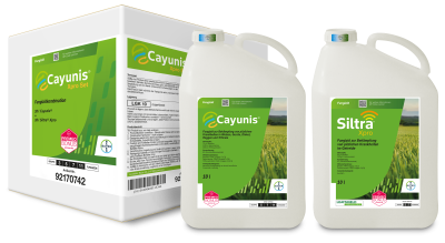 Cayunis® Xpro Set (Cayunis® + Siltra® Xpro)