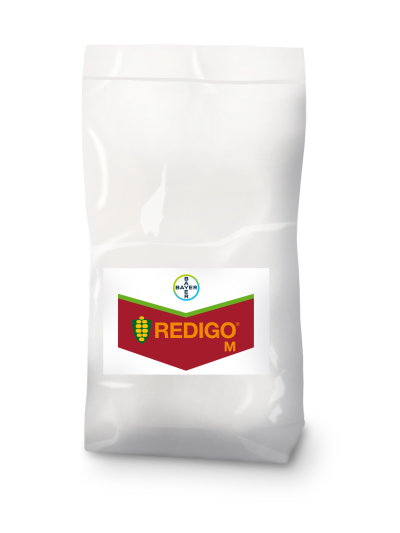 Redigo® M für die Inkrustierung von Maissaatgut