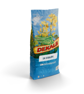 DK Exbury