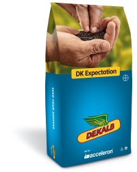 DK Expectation